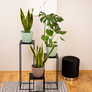May include: A home decor scene featuring potted plants on black metal stands. The plants include snake plants and a Monstera. A pink flamingo art print hangs on the wall. A black ottoman and a gray and white rug complete the scene.