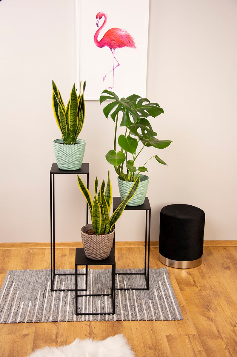 May include: A home decor scene featuring potted plants on black metal stands. The plants include snake plants and a Monstera. A pink flamingo art print hangs on the wall. A black ottoman and a gray and white rug complete the scene.