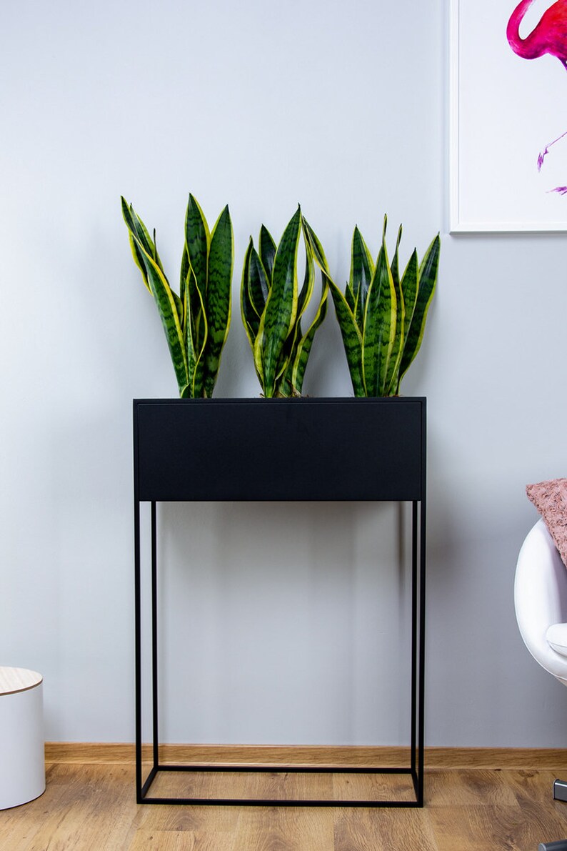 Puede incluir: Un soporte de plantas de metal negro con tres plantas serpiente en maceta. El soporte tiene una jardinera rectangular y un dise&ntilde;o simple y moderno.
