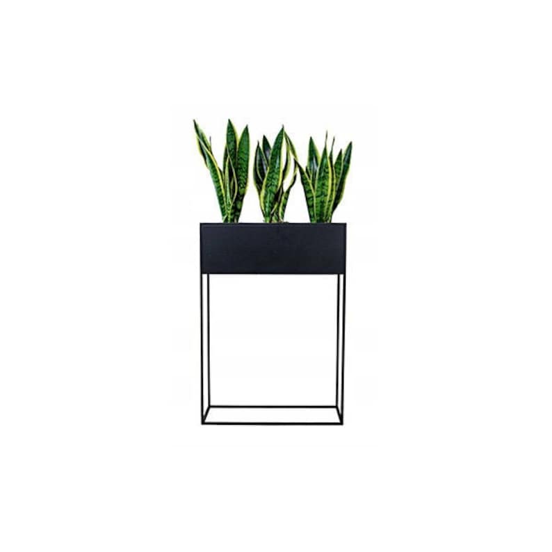 Puede incluir: Soporte para plantas de metal negro con una jardinera rectangular. Tres plantas verdes con rayas amarillas est&aacute;n en la jardinera.