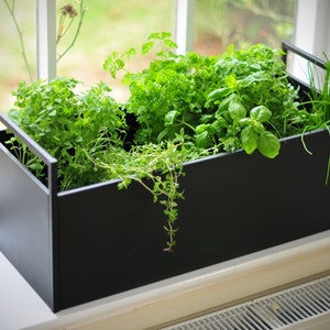 May include: A black metal planter box filled with various herbs, including basil, parsley, and chives. The planter is sitting on a windowsill.