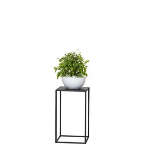 May include: A small, potted plant with green and white leaves sits in a white bowl filled with white stones. The bowl rests on a black, square, metal plant stand. The stand has a minimalist design.