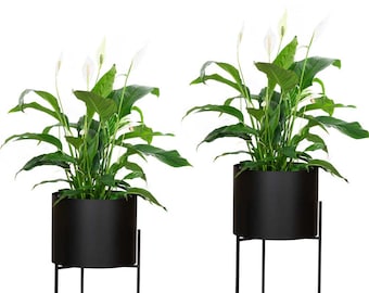 Maceta redonda moderna de metal negro con soporte: una elegante decoración para el hogar CON XL