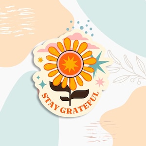 Fique grato, adesivo de saúde mental, adesivo de garrafa de água, adesivo de laptop, conscientização sobre saúde mental, adesivo de positividade, decalques mentais