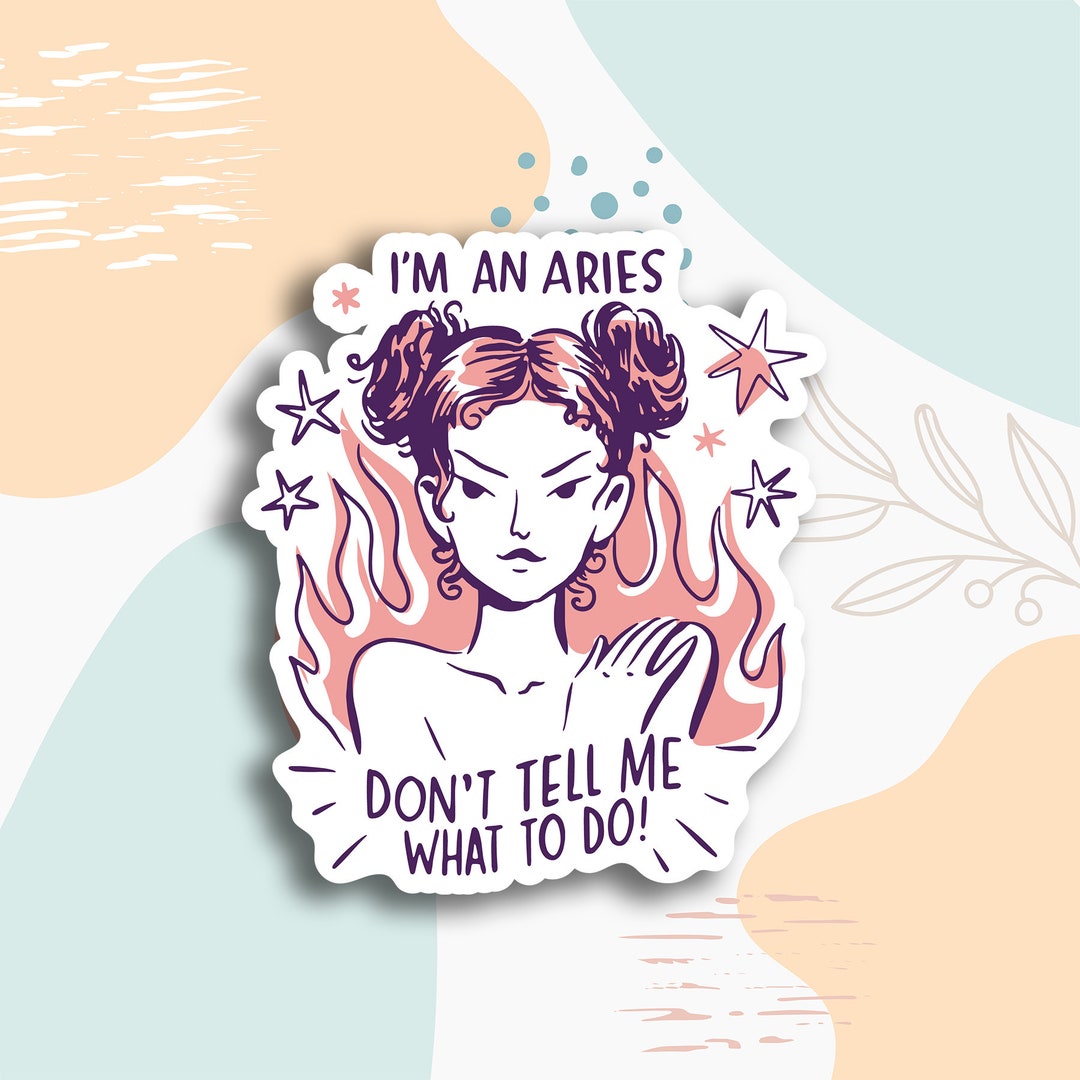 Aries Zodiac Sticker, Zodiac Friend Gift, Planner Decals, Birthday Gift ...