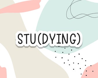 studying sticker, funny stickers, laptop decals, tumbler stickers, studying stickers, water bottle sticker, college water bottle decals