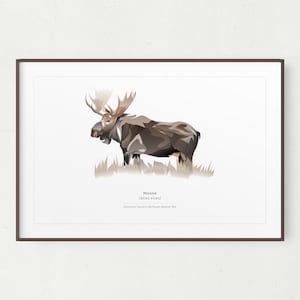 Impressão de arte de parede de alce, impressão minimalista de alce, arte para impressão, alce para impressão, download instantâneo, Yellowstone, presente de alce, animal Rocky Mtn