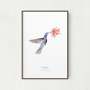Hummingbird Wall Art Print, Minimalist Hummingbird Print, Printable Art, Printable Hummingbird, Instant Download, Hummingbird Gifts