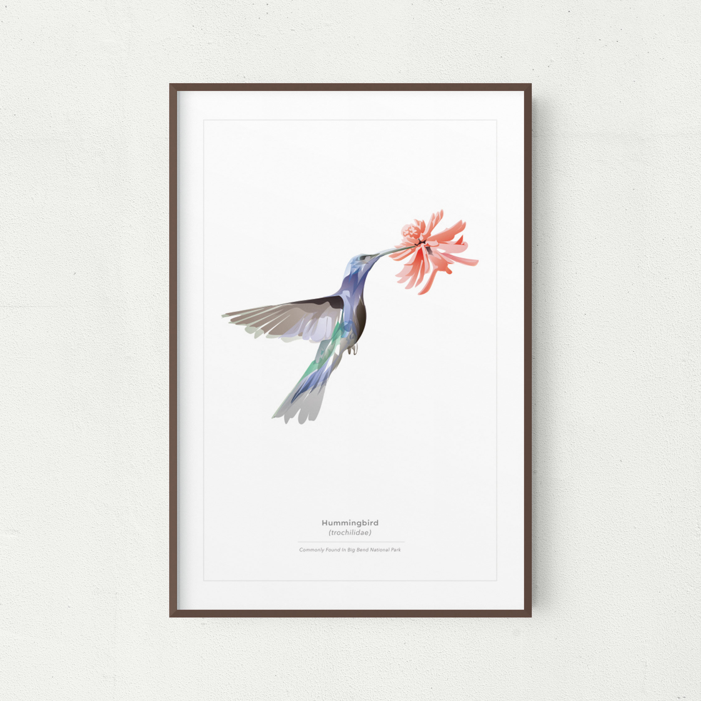 Hummingbird Wall Art Print Minimalist Hummingbird Print Etsy Ireland