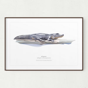 Alligator Wall Art Print, Minimalist American Alligator Print, Everglades National Park, Printable Art, Printable Alligator,Instant Download