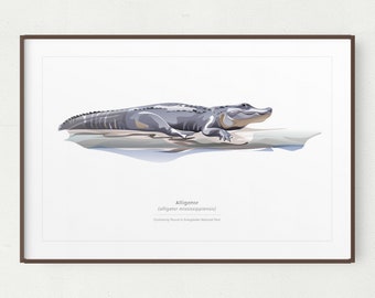 Alligator Wall Art Print, Minimalist American Alligator Print, Everglades National Park, Printable Art, Printable Alligator,Instant Download