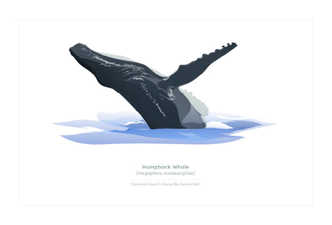 Humpback Whale Wall Art Print, Minimalist Whale Print, Printable Art ...
