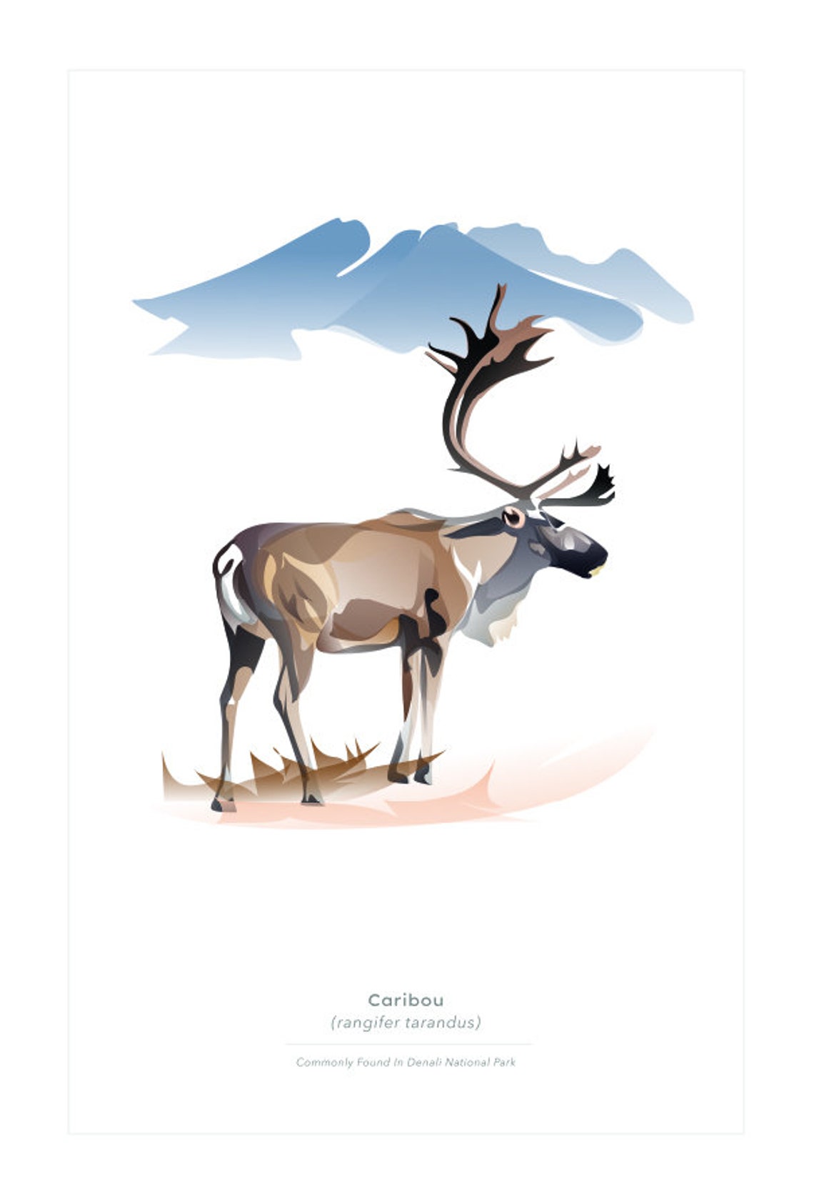 Caribou Wall Art Print, Minimalist Caribou Print, Denali National Park ...