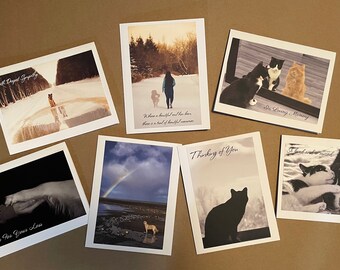 100 cartes de sympathie pliées pour animaux de compagnie