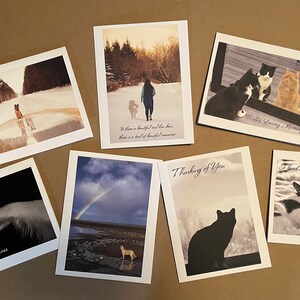 50 cartes de condoléances pliées pour animaux de compagnie