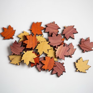 May include: A pile of wooden maple leaves in various shades of brown, orange, and yellow. The leaves are scattered on a white background.