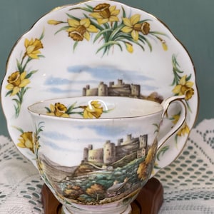 Royal Albert “Men of Harley” Cup and Saucer
