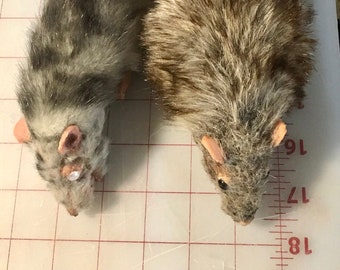 realistic stuffed rat