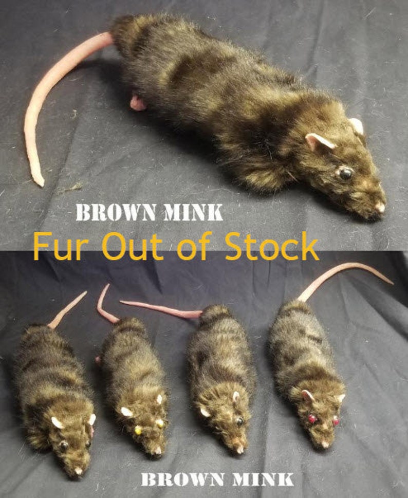 Realistic Prop Rat Lifesized Stuffed Made to Order Etsy