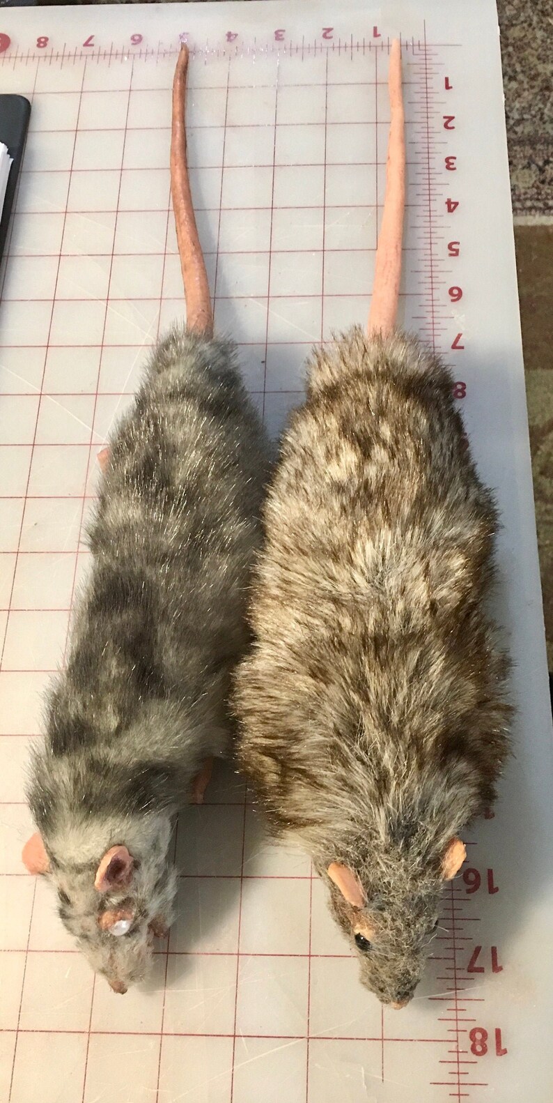 Realistic Prop Rat Lifesized Stuffed Made to Order Etsy