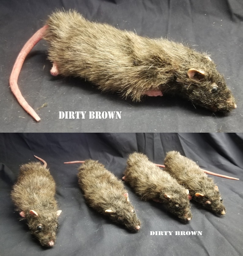 Realistic Prop Rat Lifesized Stuffed Made to Order Etsy