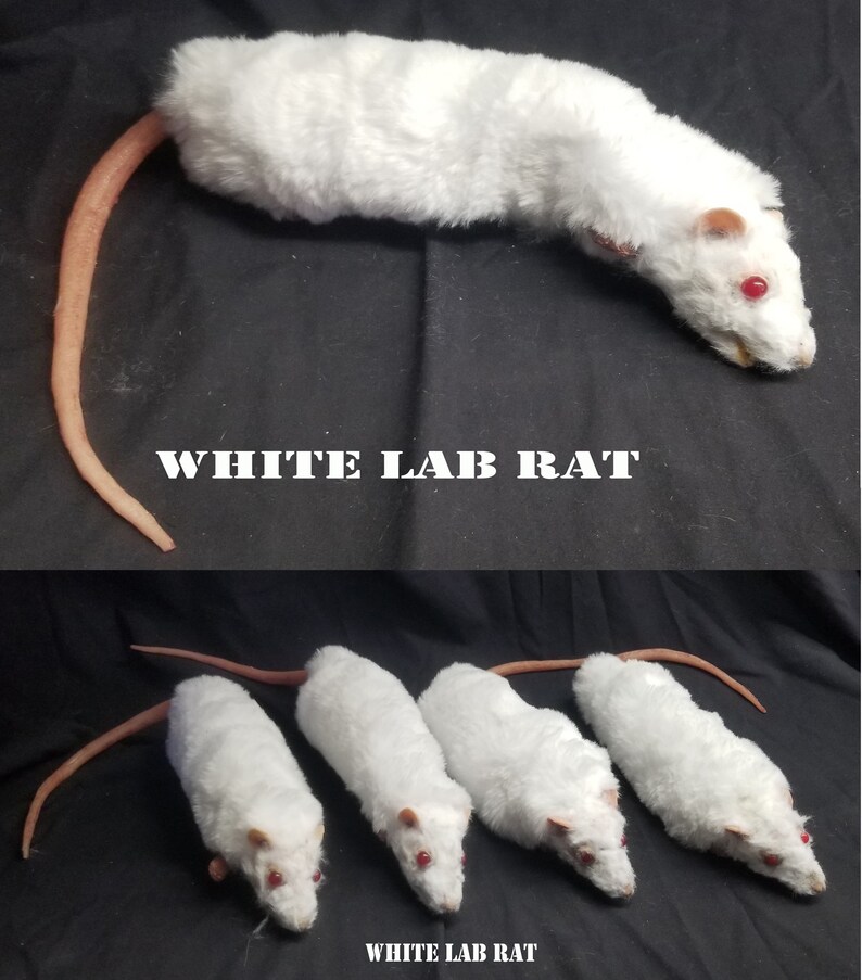Realistic Prop Rat Lifesized Stuffed Made to Order Etsy