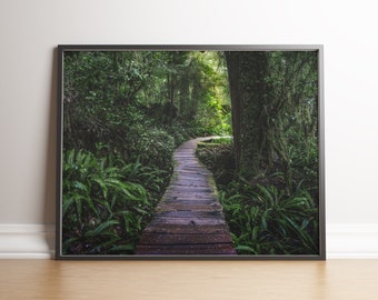 Vancouver Island Forest Wall Art | Printable Poster, Moody PNW Rainforest Digital Download, Green Nature Path Photo