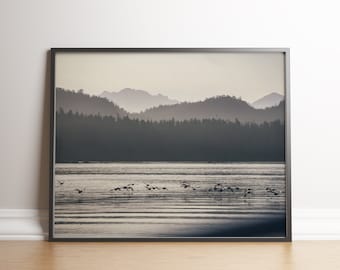 Ocean Birds Forest Print, Tofino, Vancouver Island, Canada Art, Printable Photography, Digital Download, British Columbia, Ocean Wall Decor