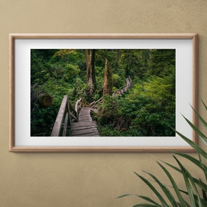Regenwald Poster, Tofino Wandbild, Vancouver Island, British Columbia, Kanada, Waldweg Druck, Nebliger Wald, Moody Art, Naturdekor