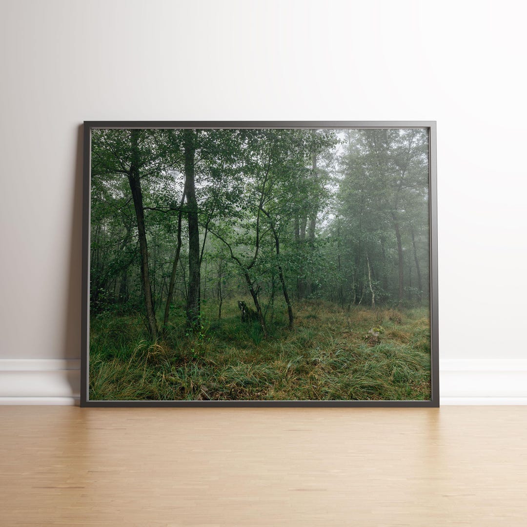 Foggy Forest Wall Art Print, Moody Green Woodland Photography, Misty ...