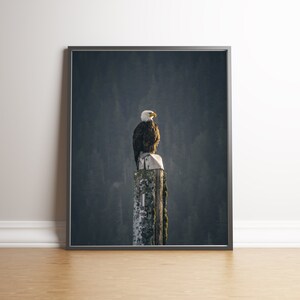 May include: A bald eagle perched on a weathered wooden post against a blurred background of trees. The eagle has white head feathers and a dark brown body.