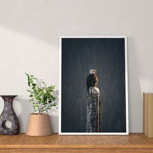 May include: A framed photograph of a bald eagle perched on a wooden post against a dark, forested background. The eagle is facing to the right, with its head turned slightly to the left. The image is in a white frame and is hanging on a white wall.