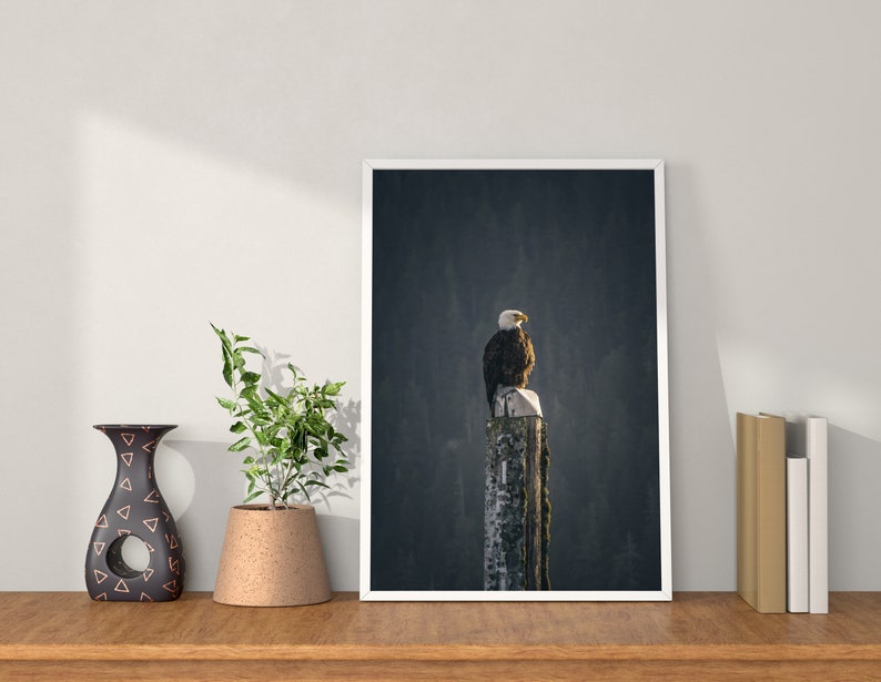 May include: A framed photograph of a bald eagle perched on a wooden post against a dark, forested background. The eagle is facing to the right, with its head turned slightly to the left. The image is in a white frame and is hanging on a white wall.