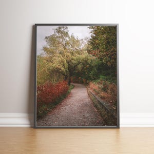 Arte mural de Stanley Park, Vancouver, impresión, póster de otoño, Columbia Británica, Canadá, decoración de pared de otoño, colores de otoño, bellas artes, fotografía de naturaleza, viajes