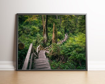 Tofino Rainforest Print, Vancouver Island Wall Art, Forest Boardwalk Photography, Pacific Northwest Decor, BC Nature Print, Digital Download