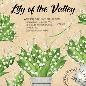 Fleurs de muguet. Clipart floral aquarelle. Illustration de fleur de printemps. Collection d'éléments et de bouquets de fleurs sauvages PNG, 300 DPI