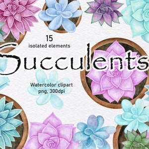Sukkulenten Pflanzen, Aquarell Clipart. Zimmerpflanzen / Kaktus-Kollektion. Digitale Pflanzen, Blumen. Sublimation. Sofortiger Download, png 300 dpi