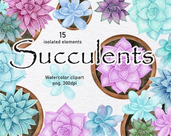 Succulent plants, Watercolor clipart. Houseplant cactus collection. Digital plants, flowers. Sublimation. Instant download, png 300 dpi