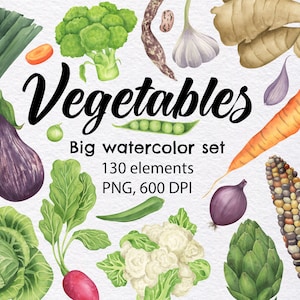 Regular Vegetables Clipart, Watercolor Clipart Set, Root vegetables clipart, Herb clipart, Carrot clipart, Instant download, PNG, 600 DPI