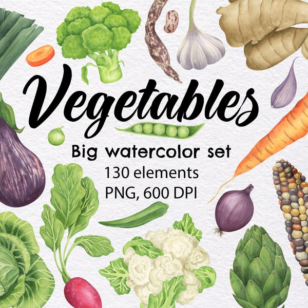 Regular Vegetables Clipart, Watercolor Clipart Set, Root vegetables clipart, Herb clipart, Carrot clipart, Instant download, PNG, 600 DPI