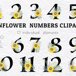 Watercolor Numbers Clipart, Sunflower Numbers, Floral Number Clipart,  Instant Download, Birthday Numbers, Wedding numbers, PNG, 300 dpi