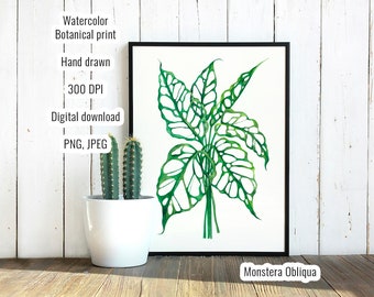 Monstera Obliqua Plant Print-Houseplant Poster Wall Art- Monstera Watercolor Painting- Digital Download