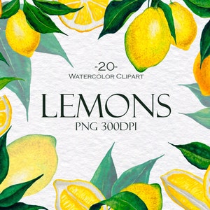 Watercolor Lemons Clipart, Lemons Clipart, Summer Clipart, 20 Isolated Lemons Elements, PNG, 300 dpi
