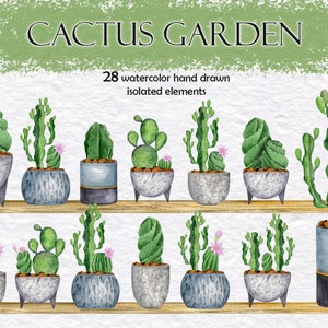 Kaktus Sublimationsdesign, Aquarell Clipart, Zimmerpflanzen Illustration, Sukkulenten Pflanzer, Wüstenpflanzen, Sofortiger Download. PNG, 300 dpi