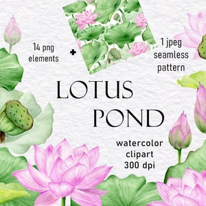 ピンクの蓮の花、水彩画のクリップアート集。シームレスな東洋風の花柄。即時ダウンロード、商用ライセンス。300 dpi、png