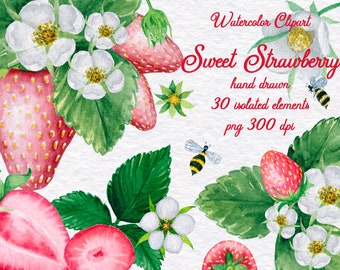 Watercolor Strawberry Clipart, Watercolor Clipart, Hand Drawn Illustration, Instant download, Floral clipart,  PNG 300dpi