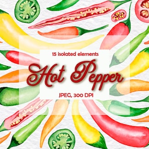 Watercolor Chili Pepper Clipart, Hot Pepper, Vegetable, Summer Clipart, Instant Download, Pepper kitchen decor,  PNG, 300dpi