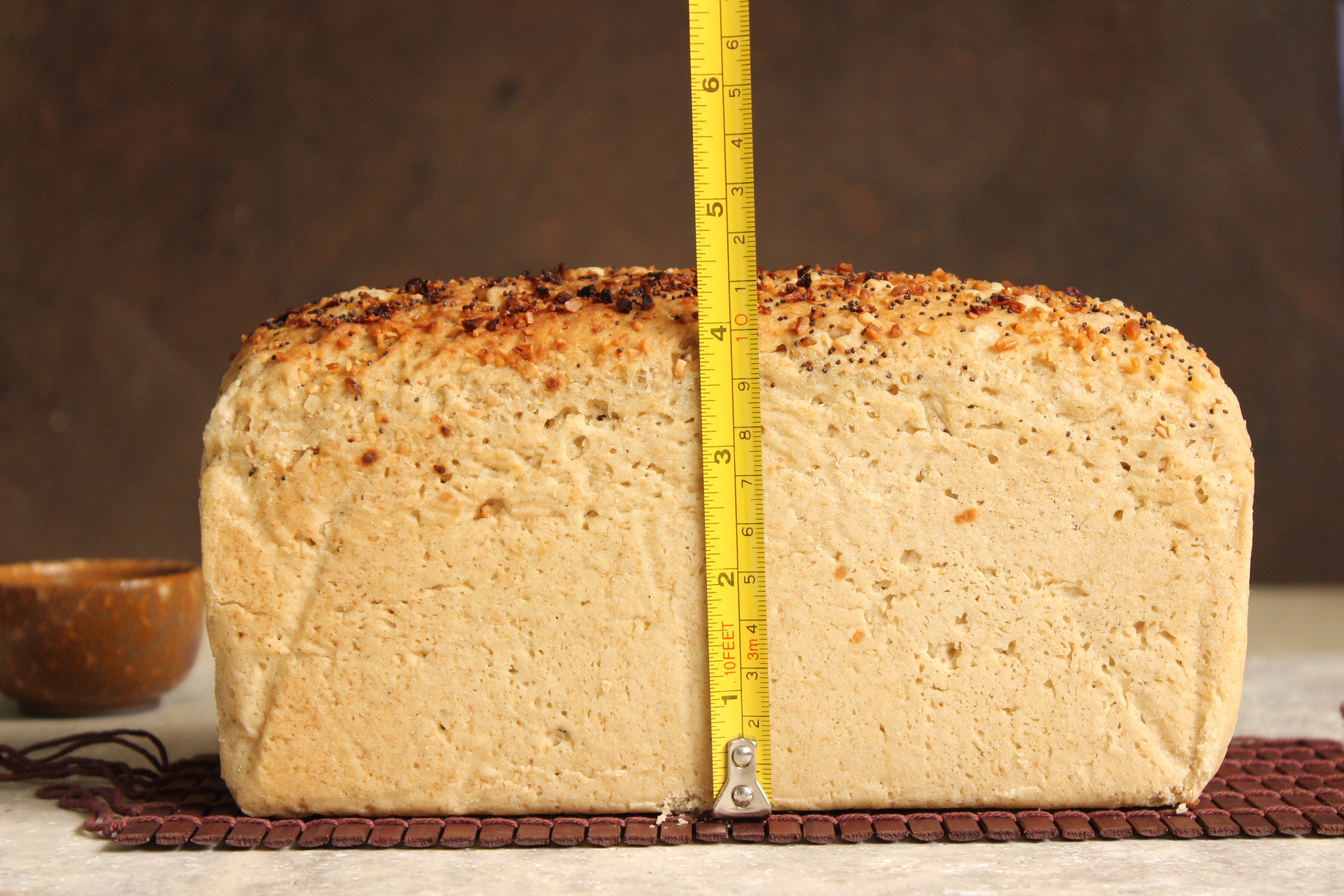 Dr Gundry Sourdough Bread Recipe