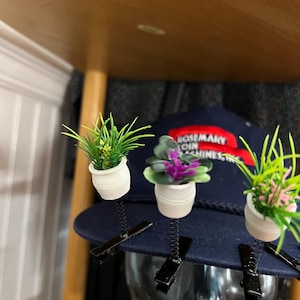 Rave Plant - Etsy