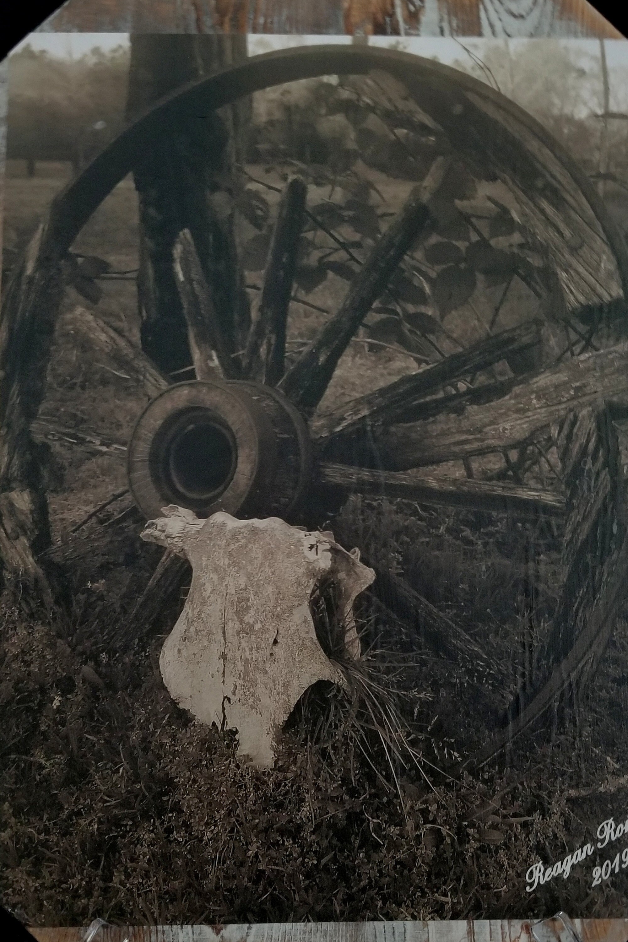 Imágenes de 11x17 montadas en madera | Etsy